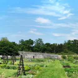 Luton Hoo Estate - Luton