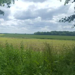 Luton Hoo Estate - Luton