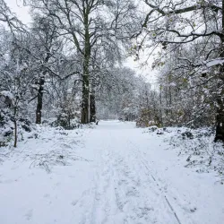 Stockwood Park Golf Centre - Luton