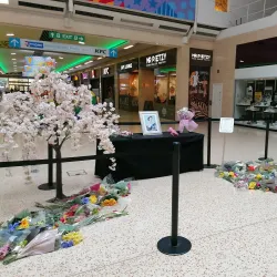 The Mall Luton - Luton