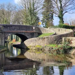 Macclesfield Canal - Macclessfield