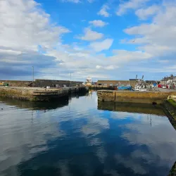 Macduff Harbour - Macduff