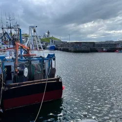 Macduff Harbour - Macduff