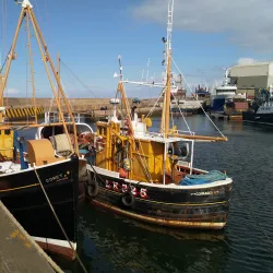 Macduff Harbour - Macduff