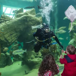 Macduff Marine Aquarium - Macduff