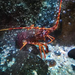 Macduff Marine Aquarium - Macduff