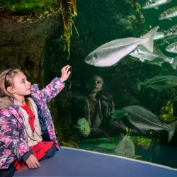 Macduff Marine Aquarium - Macduff