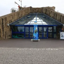 Macduff Marine Aquarium - Macduff