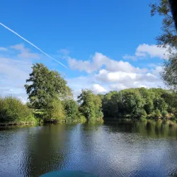 The River Medway - Maidstone