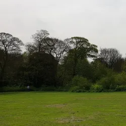 Hartsdown Park - Margate