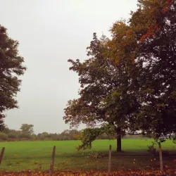 Hartsdown Park - Margate