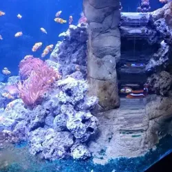 Margate Museum - Margate