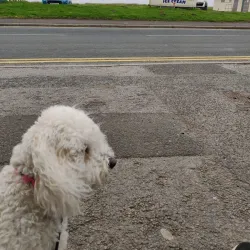 Allonby Beach - Maryport