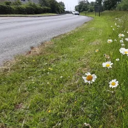 Gelligaer Common - Merthyr Tydfil