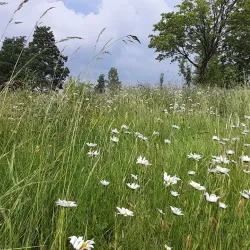Gelligaer Common - Merthyr Tydfil