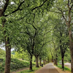 Taff Trail - Merthyr Tydfil