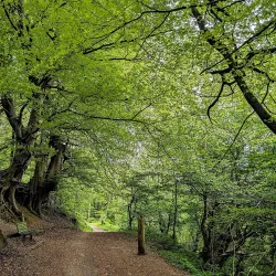 Taff Trail - Merthyr Tydfil