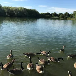 Caldecotte Lake - Milton Keynes