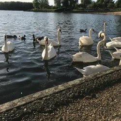 Caldecotte Lake - Milton Keynes