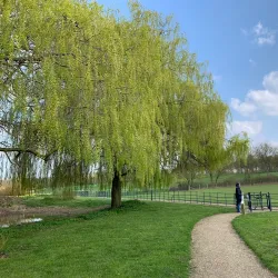 Campbell Park - Milton Keynes