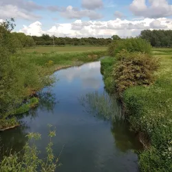 Shenley Church End Local Nature Reserve - Milton Keynes