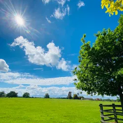 Shenley Church End Local Nature Reserve - Milton Keynes