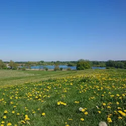 Willen Lake - Milton Keynes