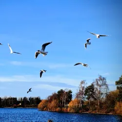 Willen Lake - Milton Keynes