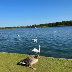 Willen Lake - Milton Keynes