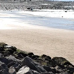 Morecambe Bay - Morecambe