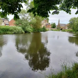Morpeth Castle - Morpeth