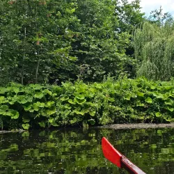 Morpeth Heritage Trail - Morpeth