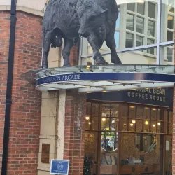 Morpeth Market - Morpeth