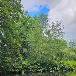 River Wansbeck Walks - Morpeth