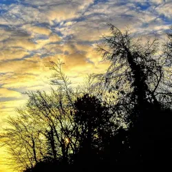 Bellshill Golf Club - Motherwell