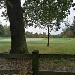 Bellshill Golf Club - Motherwell