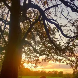 Dalzell House - Motherwell