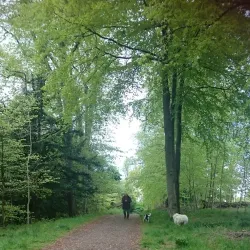 Dalzell House - Motherwell