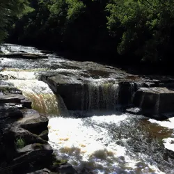 Motherwell Heritage Centre - Motherwell