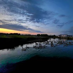 Bowbridge Lock and Marina - Newark-on-Trent