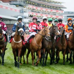 Newbury Racecourse - Newbury