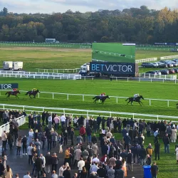 Newbury Racecourse - Newbury