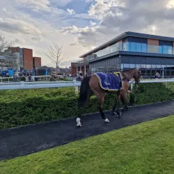 Newbury Racecourse - Newbury