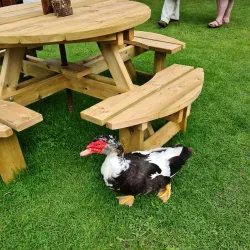 The Watermill Theatre - Newbury