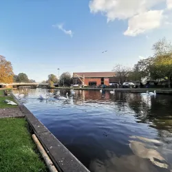 Victoria Park - Newbury