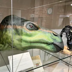 West Berkshire Museum - Newbury