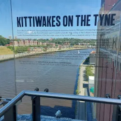 BALTIC Centre for Contemporary Art - Newcastle upon Tyne