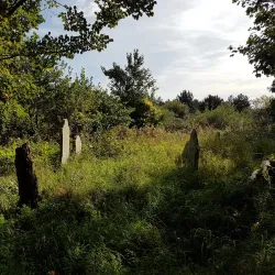 East Ham Nature Reserve - Newham
