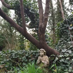 East Ham Nature Reserve - Newham