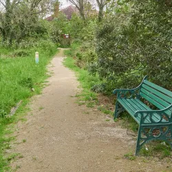 East Ham Nature Reserve - Newham